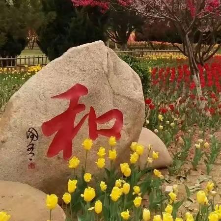 王禹浔快乐每一天