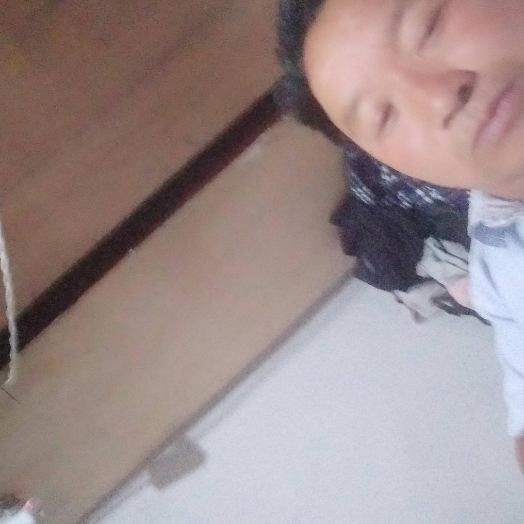 江苏省沛县朱寨杏花村