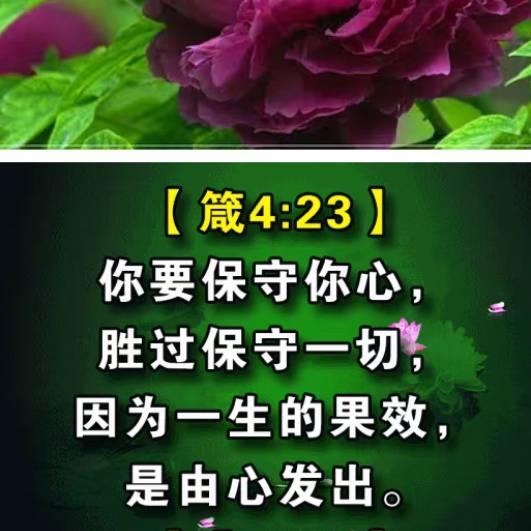 心只有祢