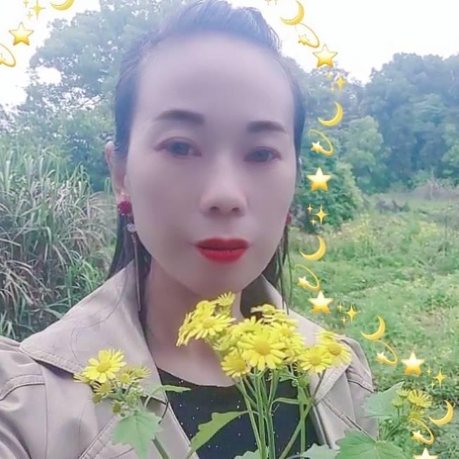 平安_231211