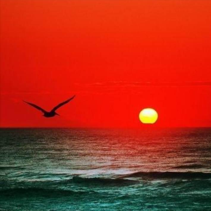 七月夏