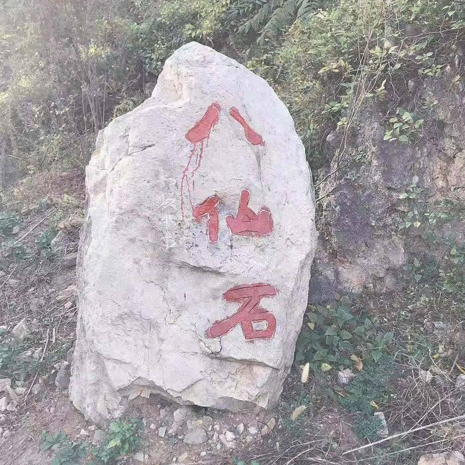 大力同学