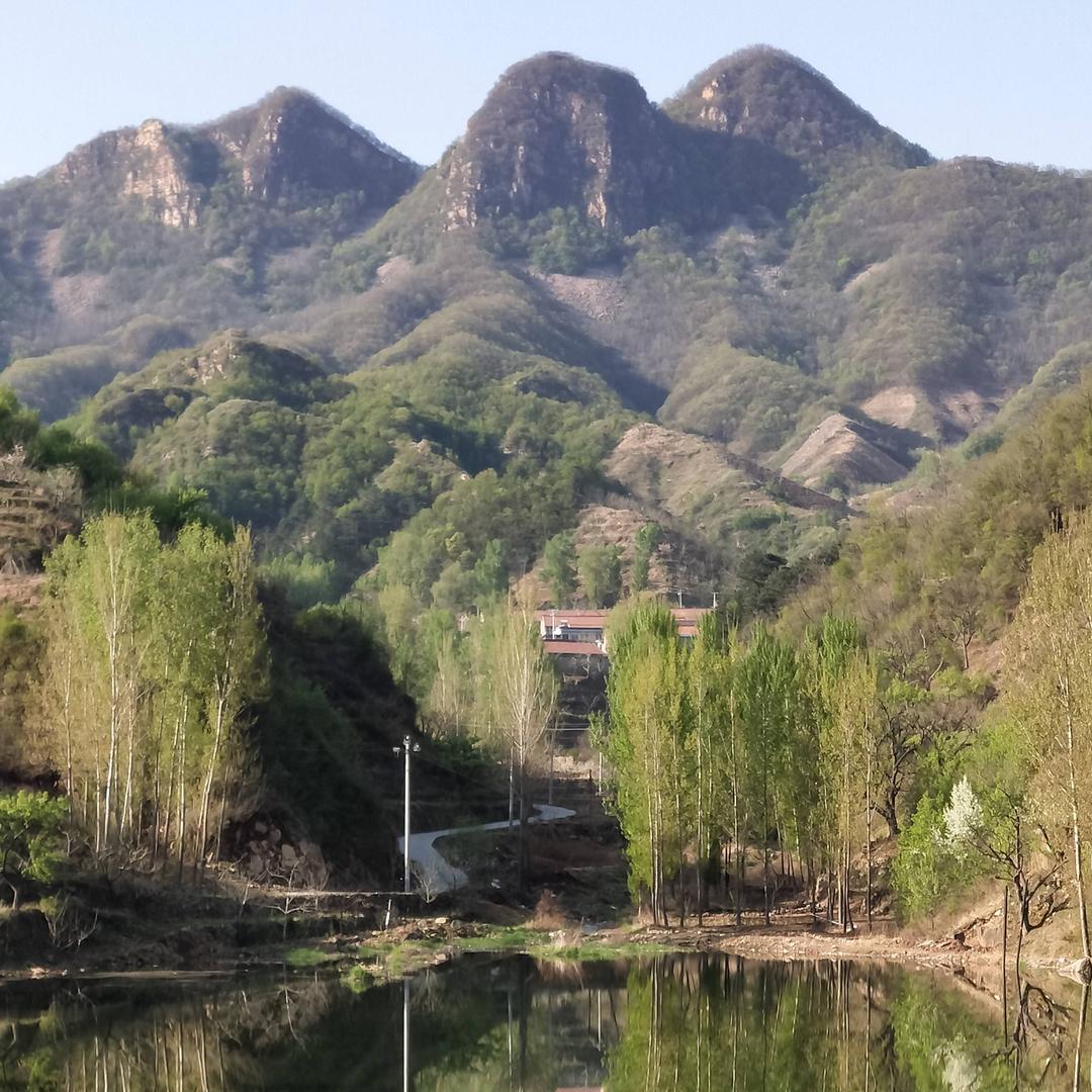 东顺西畅