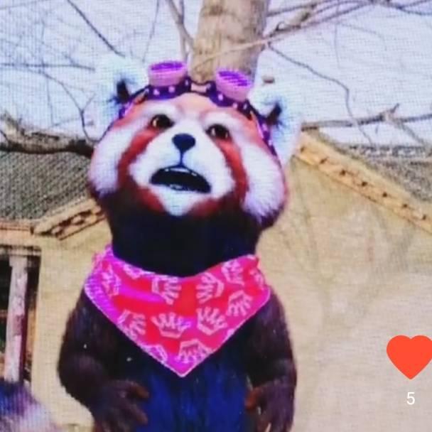 皮仔家族📛皮仔