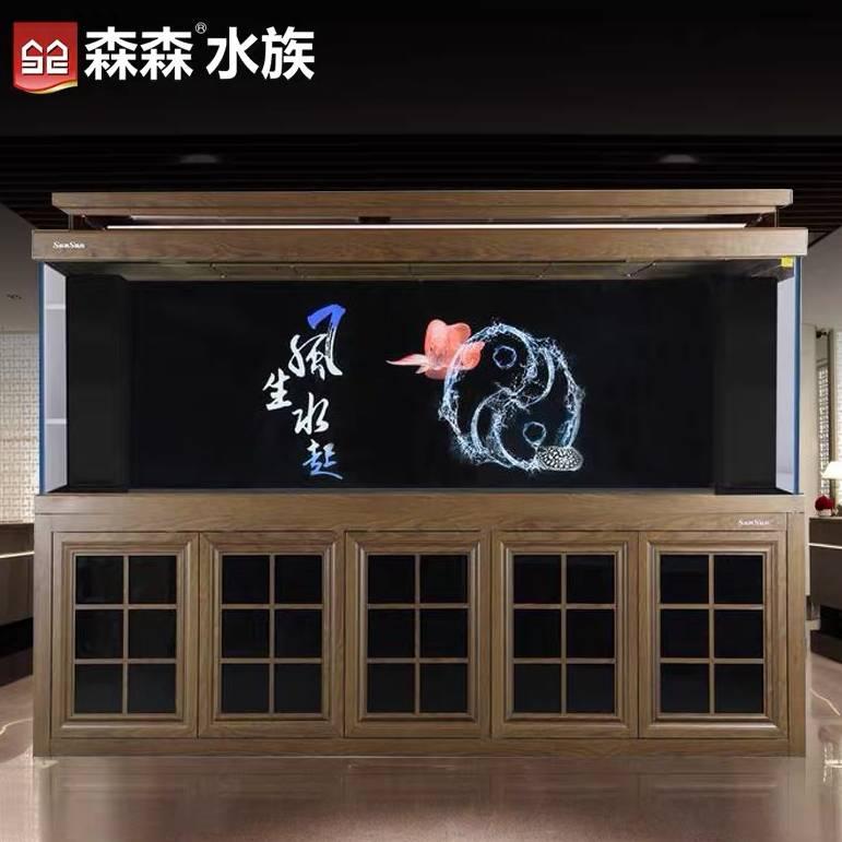 小杰爱养鱼