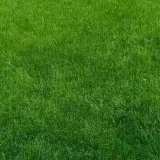 平安就是福_1857