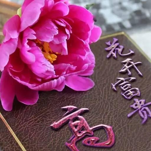 美丽朱楼