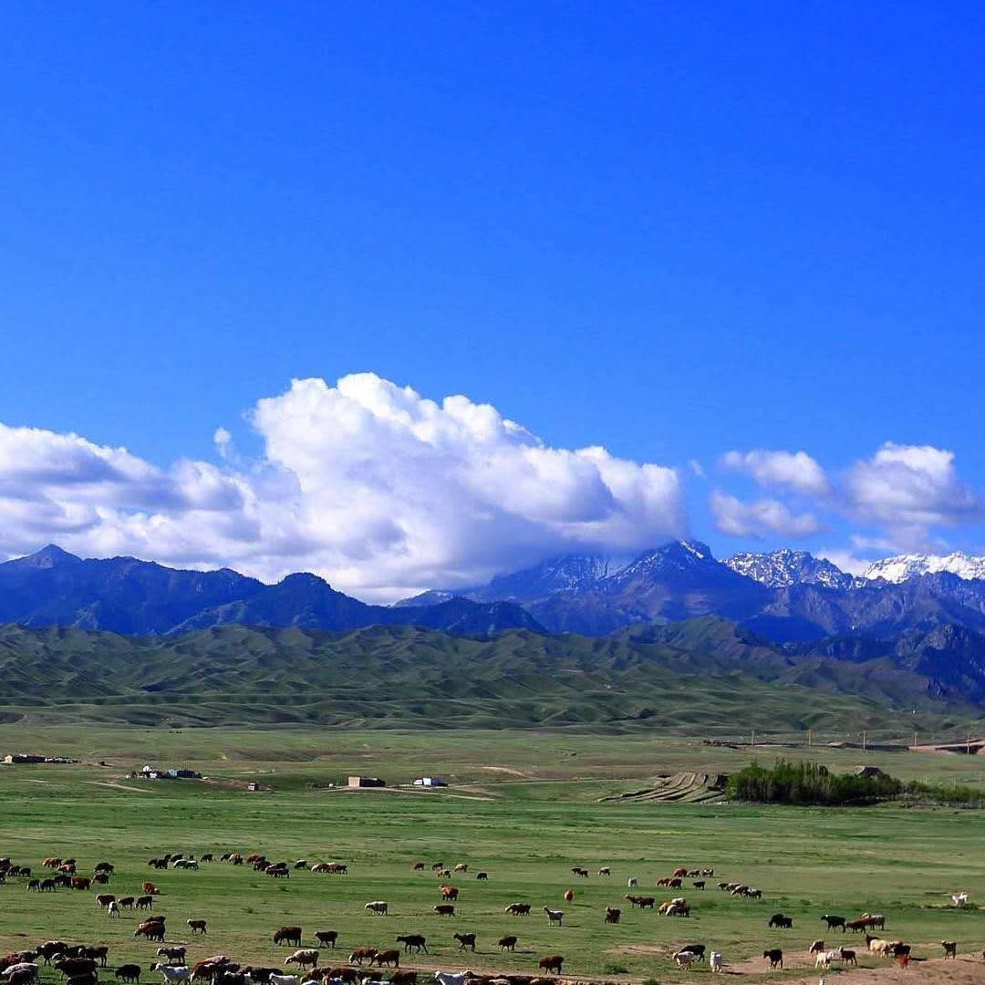蓝💞色🍷精❤️灵🌹🌹🌹