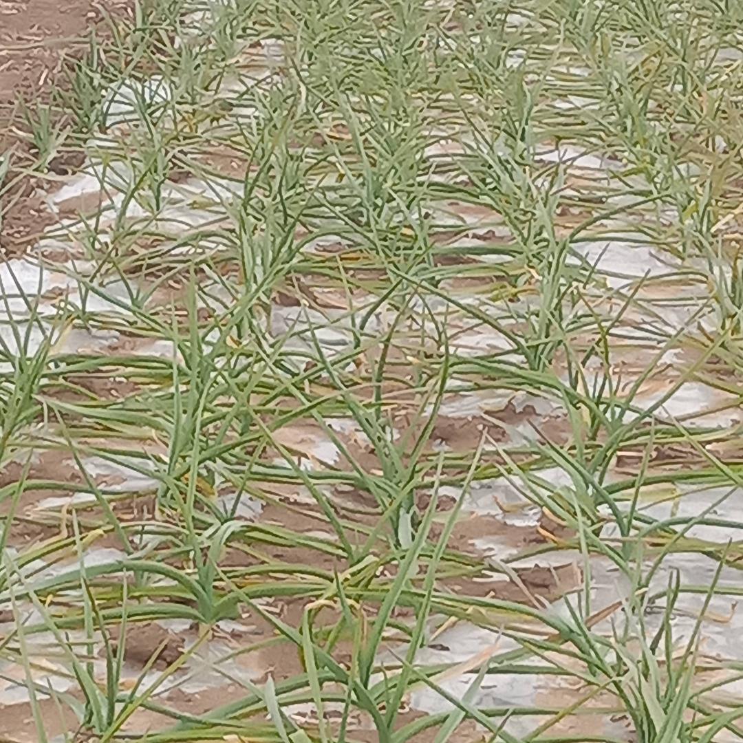 开开心心好心情