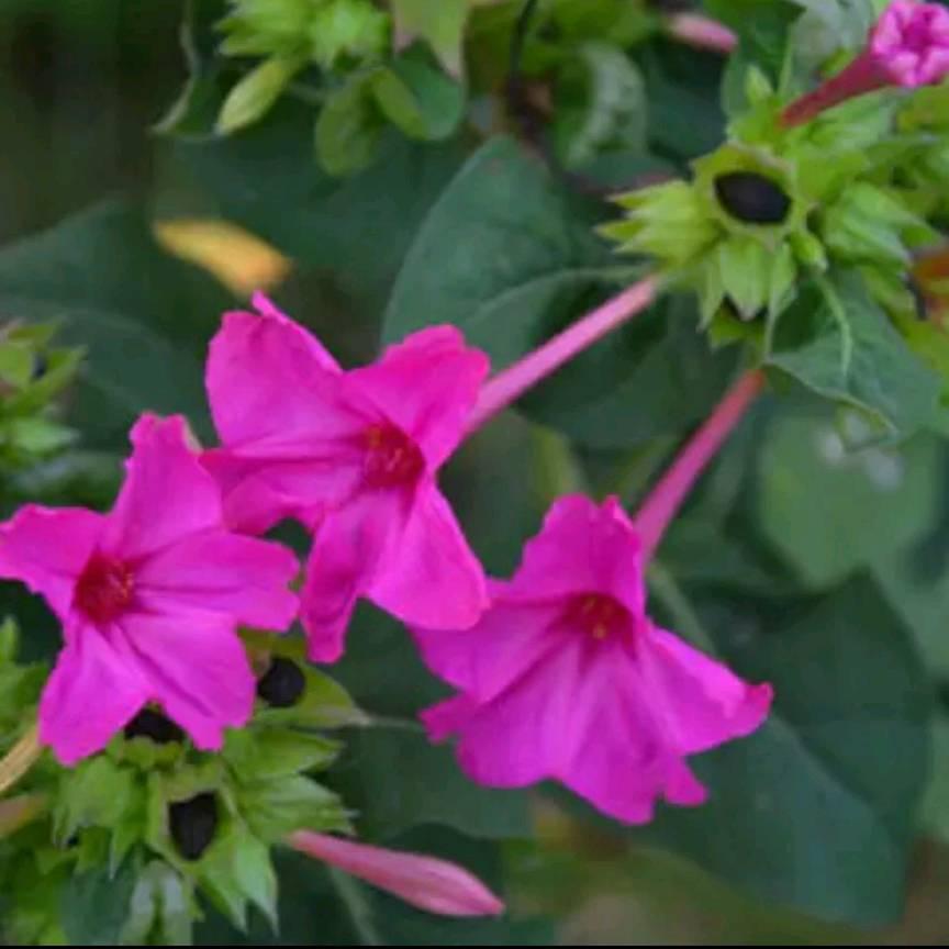 开心“美”一天