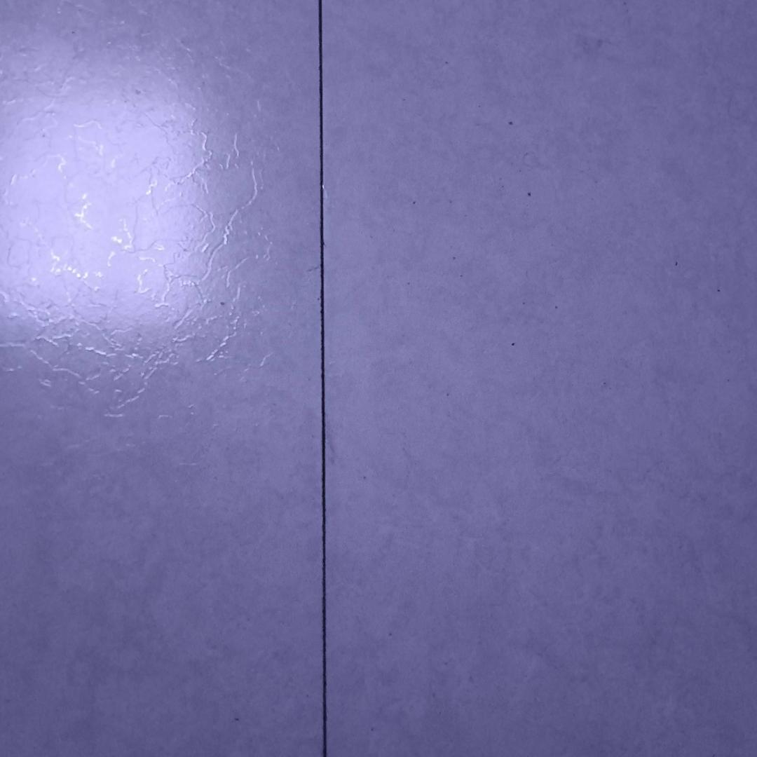 山上的猴子我腚最红