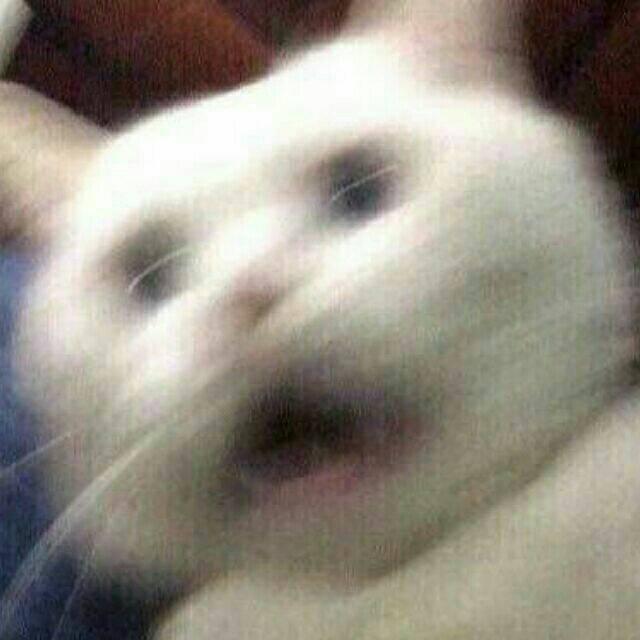 0止水微蓝0