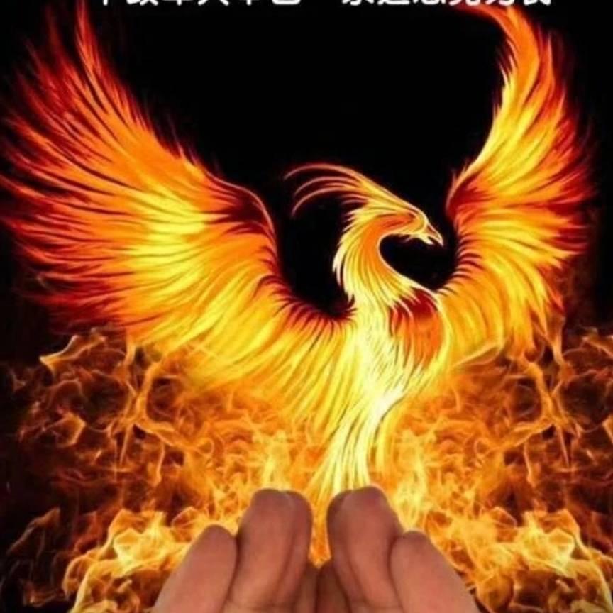 🌈逍遥尊🔥_张鑫