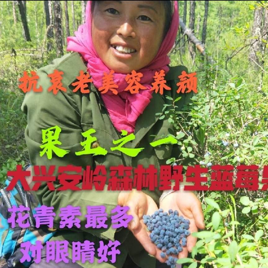 呼中梦源特产山珍
