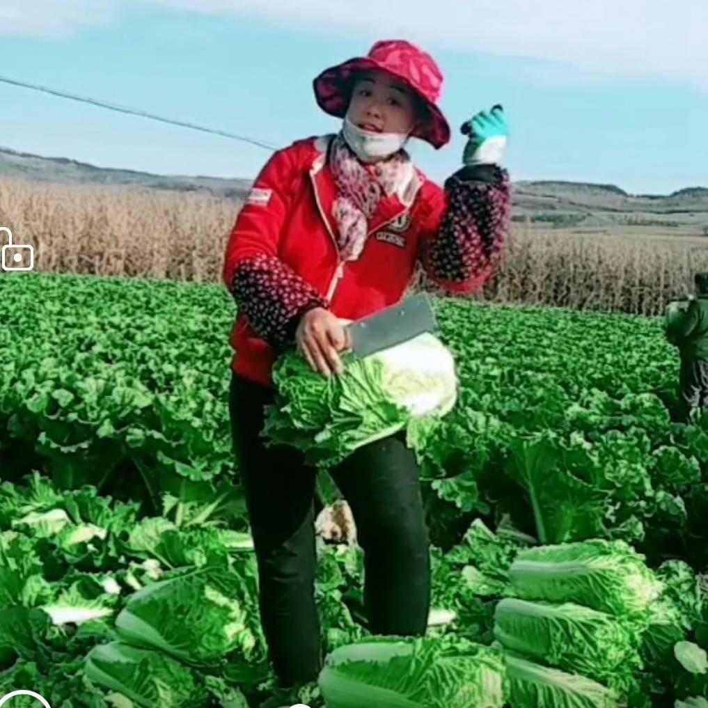 秋水伊人Li