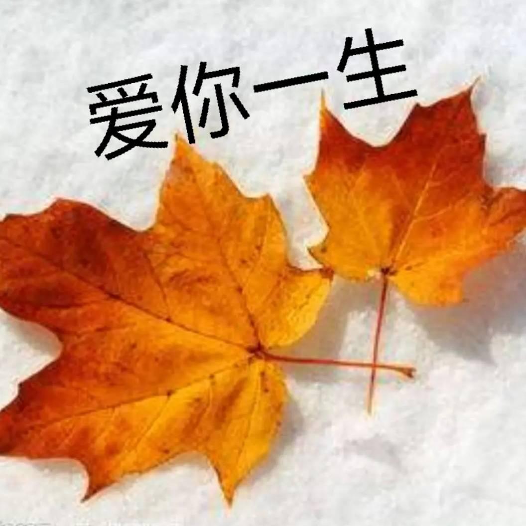 🍁爱你一生🍁