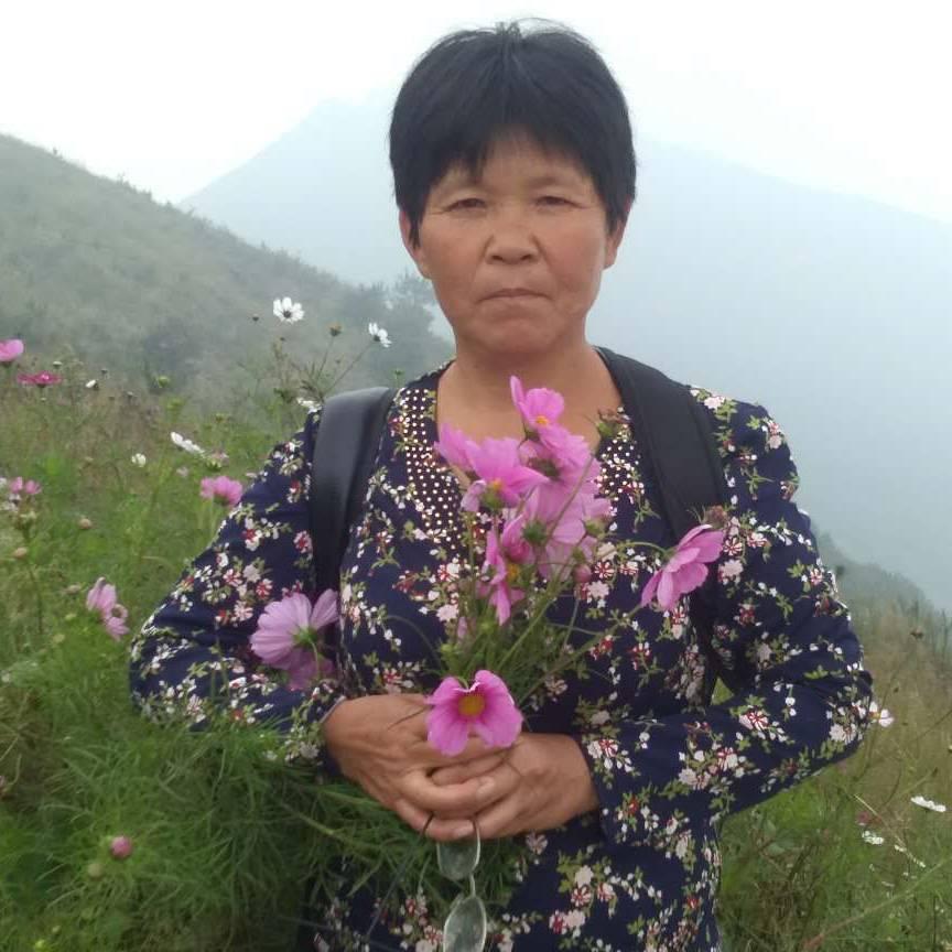 琳龙妈妈362