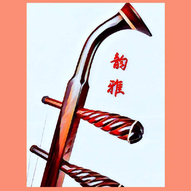 雅韵二胡