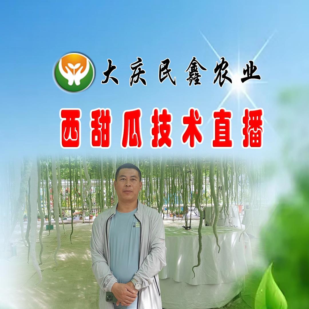 大庆民鑫农业丁百文