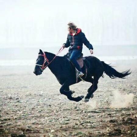 骑马🐎爱好者