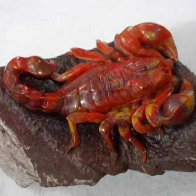 物源臻选阁