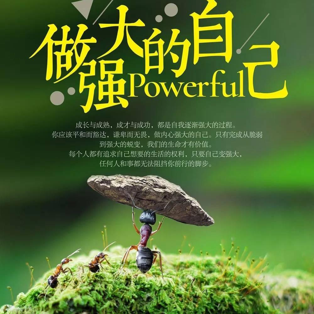 兜兜转转
