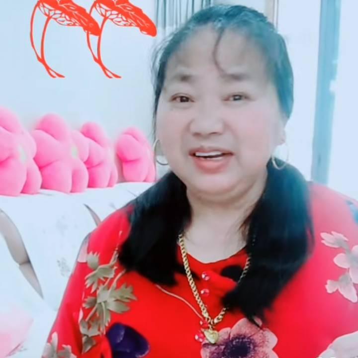 兔子le