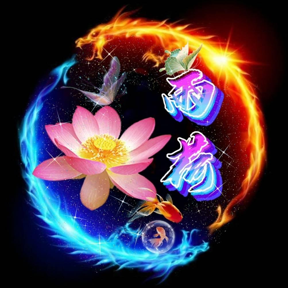 雨  荷 💝