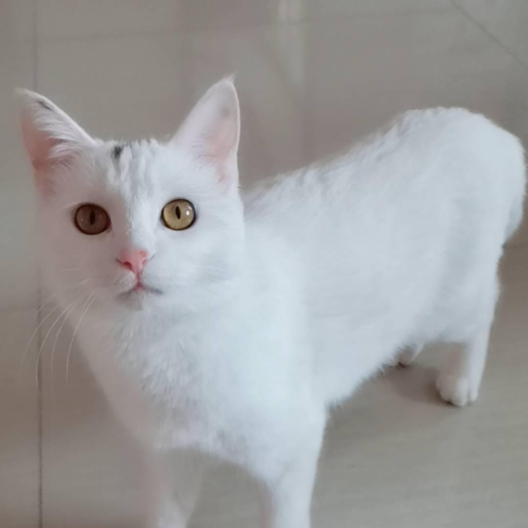 白胖子🌈悠悠🌈