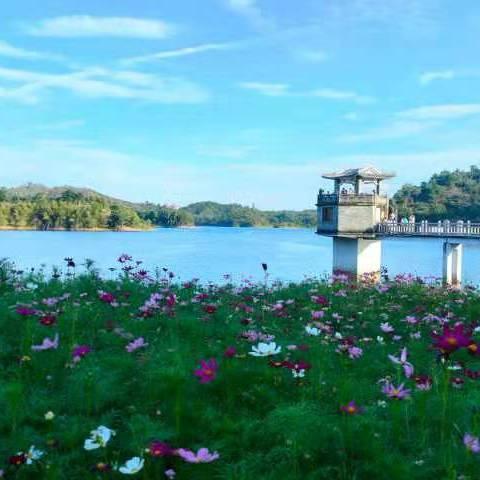 不离不弃