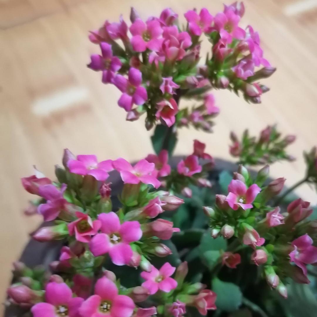 打闹也是爱