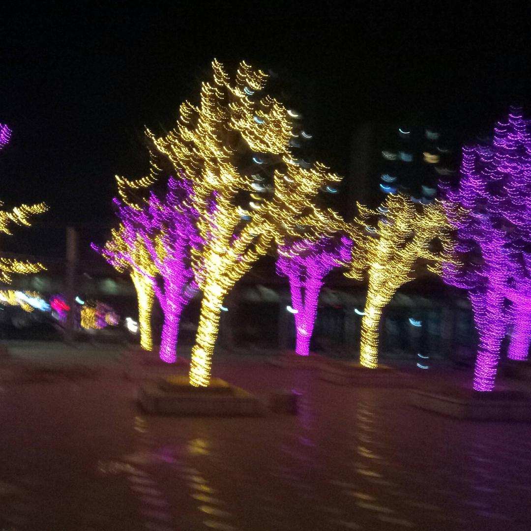 毛海发