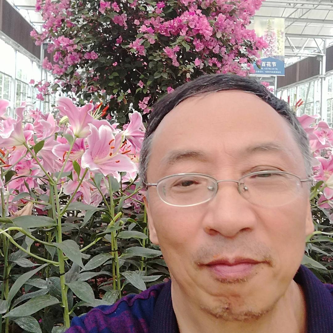 梦君