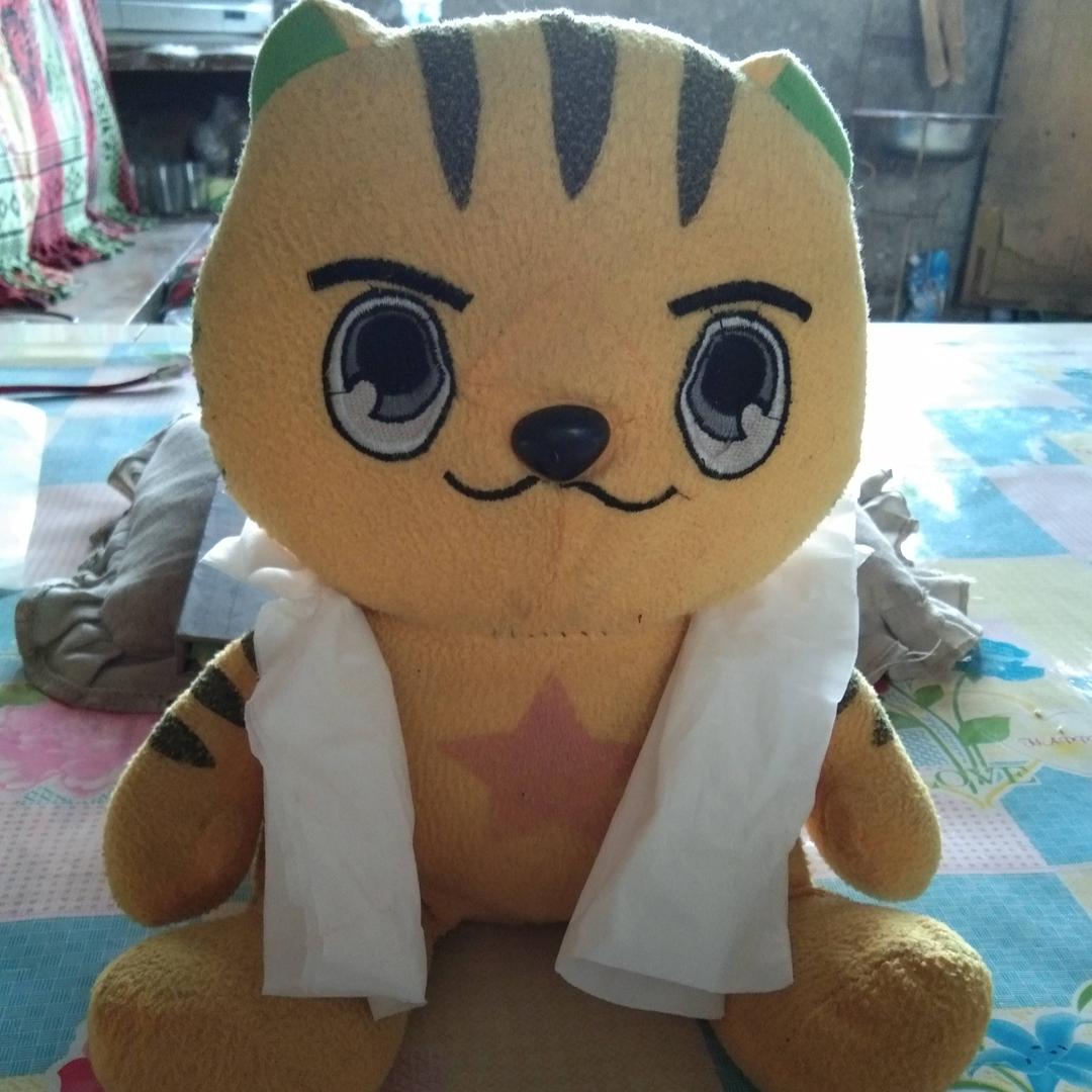 虎❤️怡
