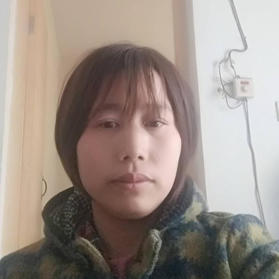 燕子飞飞的梦想