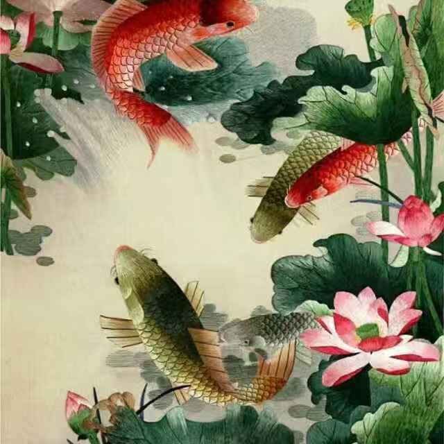 英姐_2052879