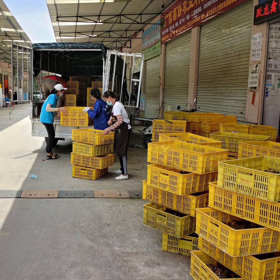 跃龙公司