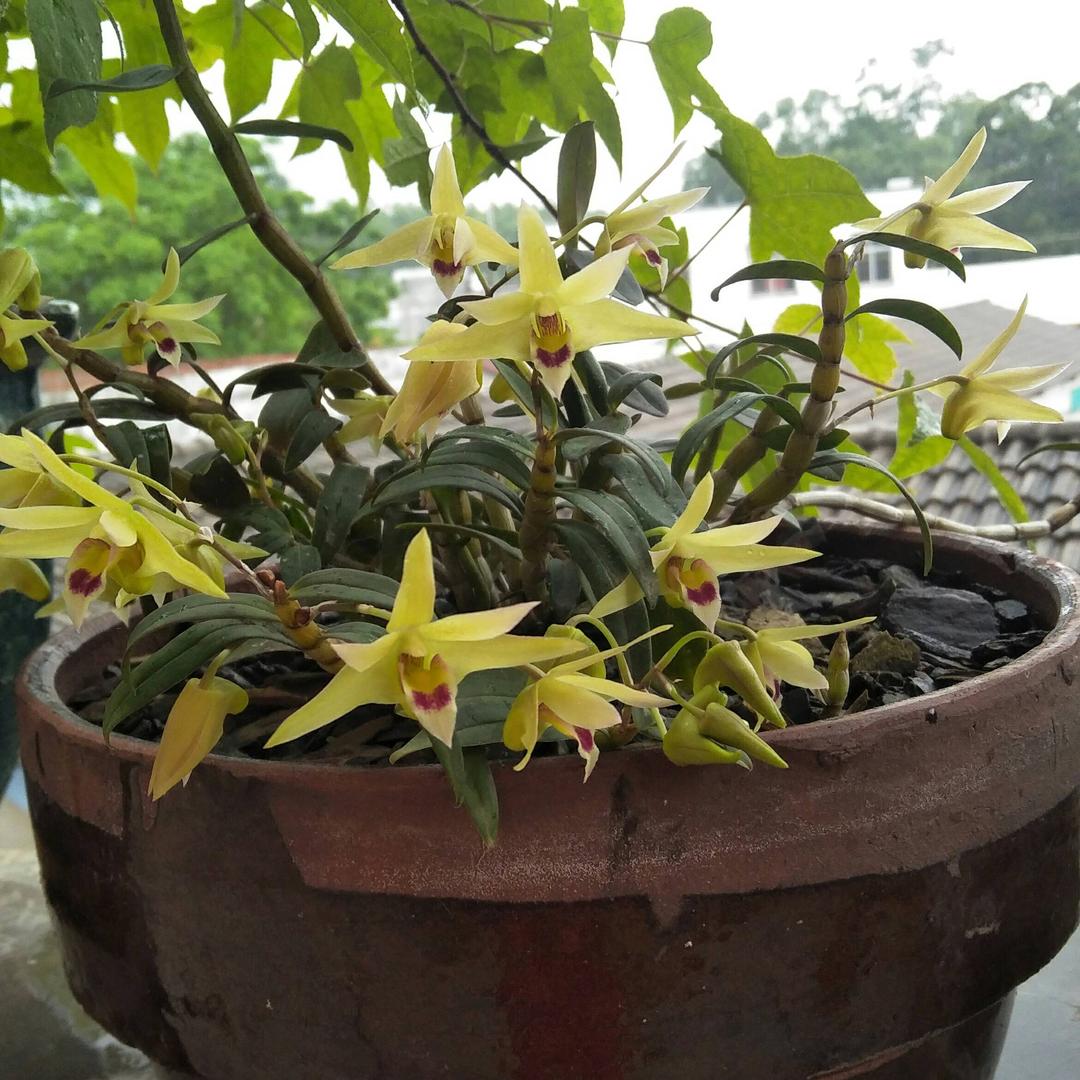 焊焊