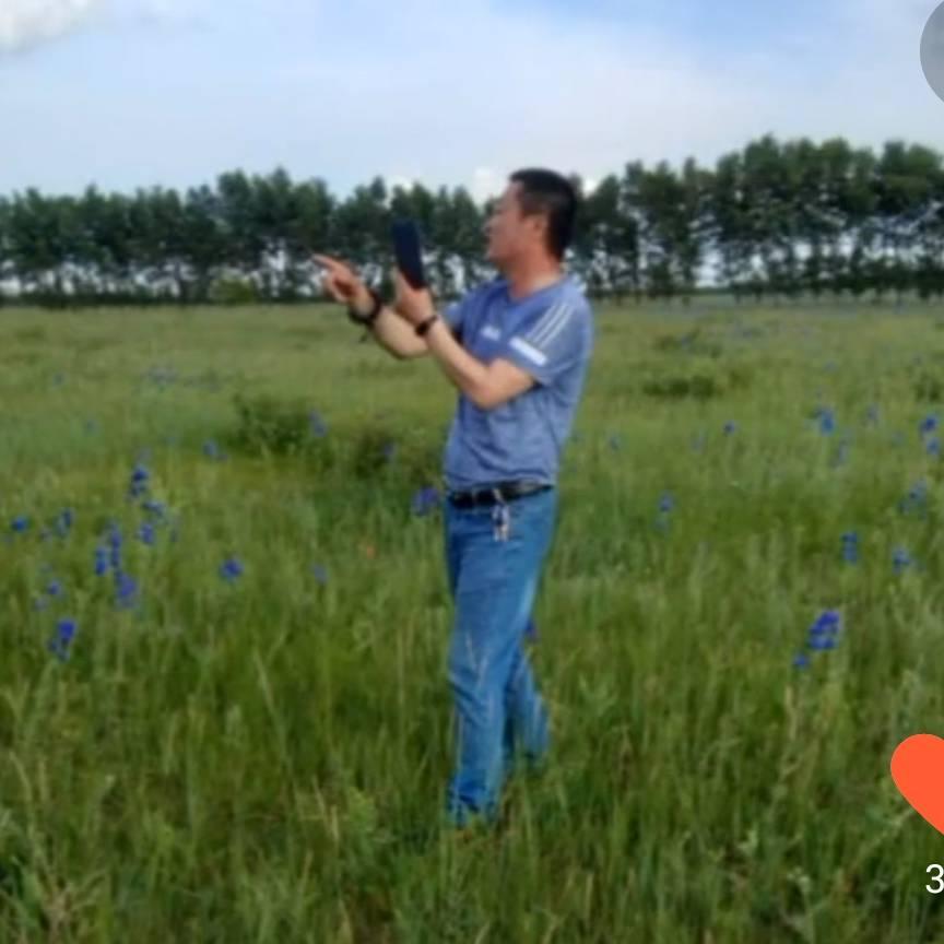 自由飞翔@鹰