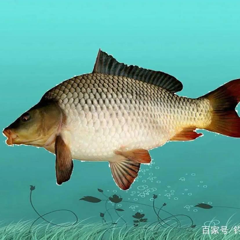 天天喜乐_25669头像