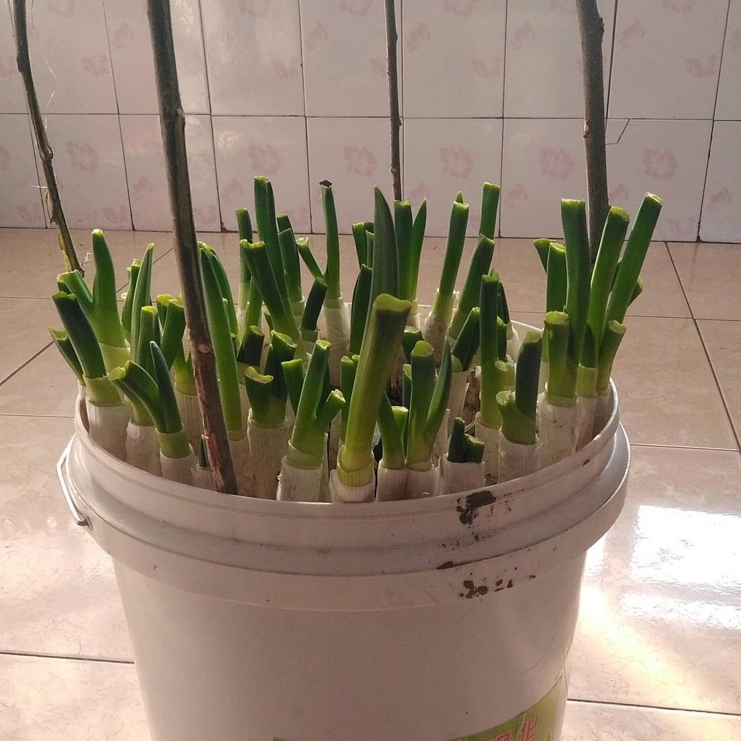 农村大实话