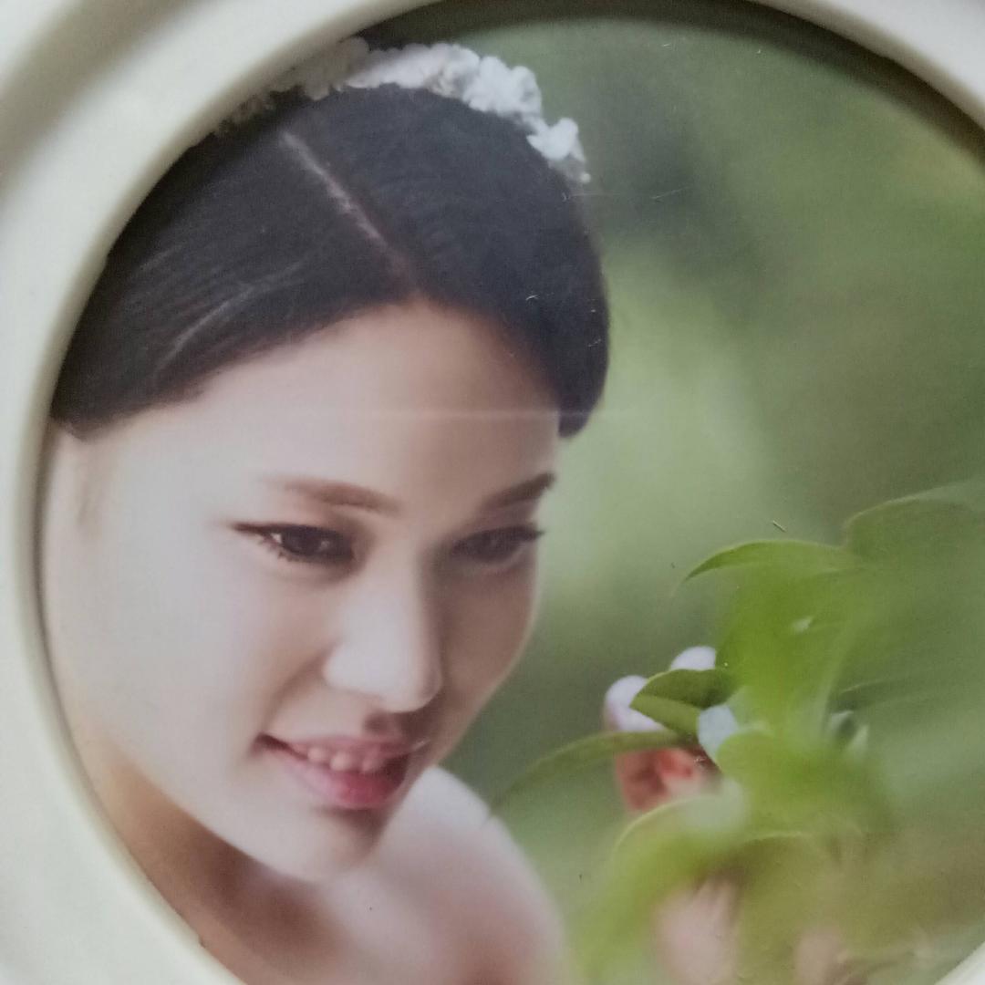 静心书写