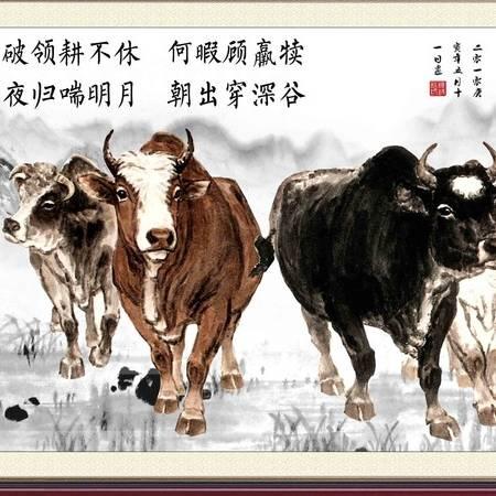 蒋明明突泉卖牛中介