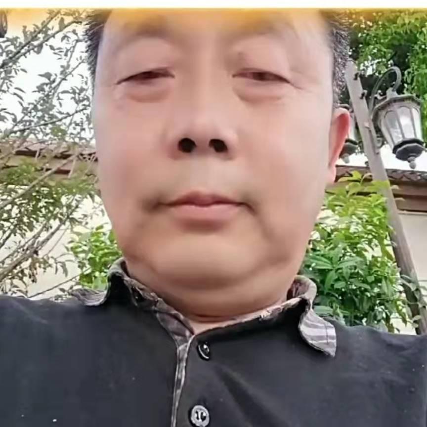 书法人生