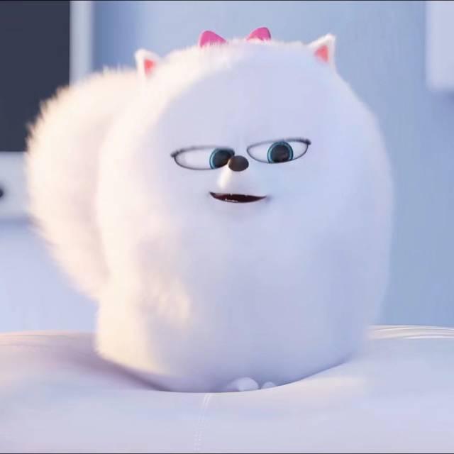 软少