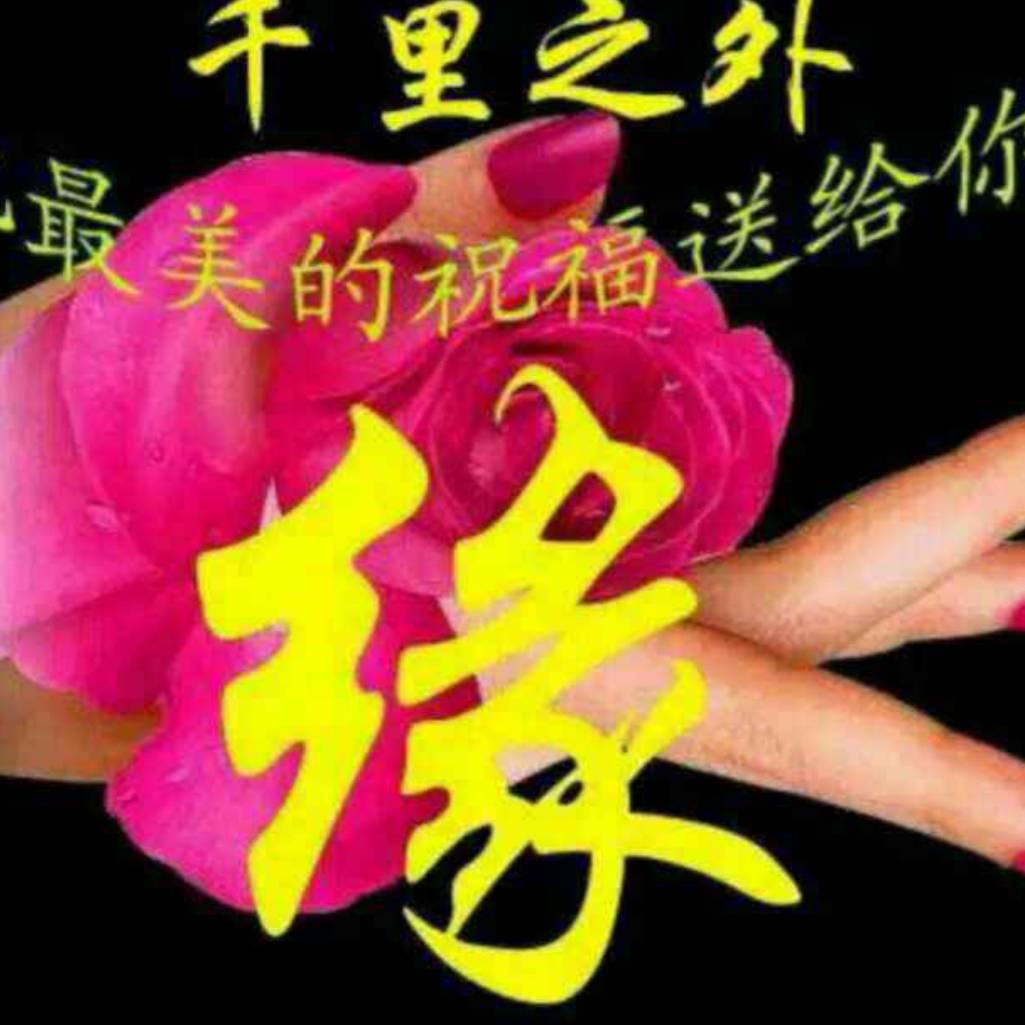 用户等你三十年