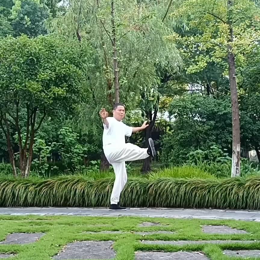 致柔太极功
