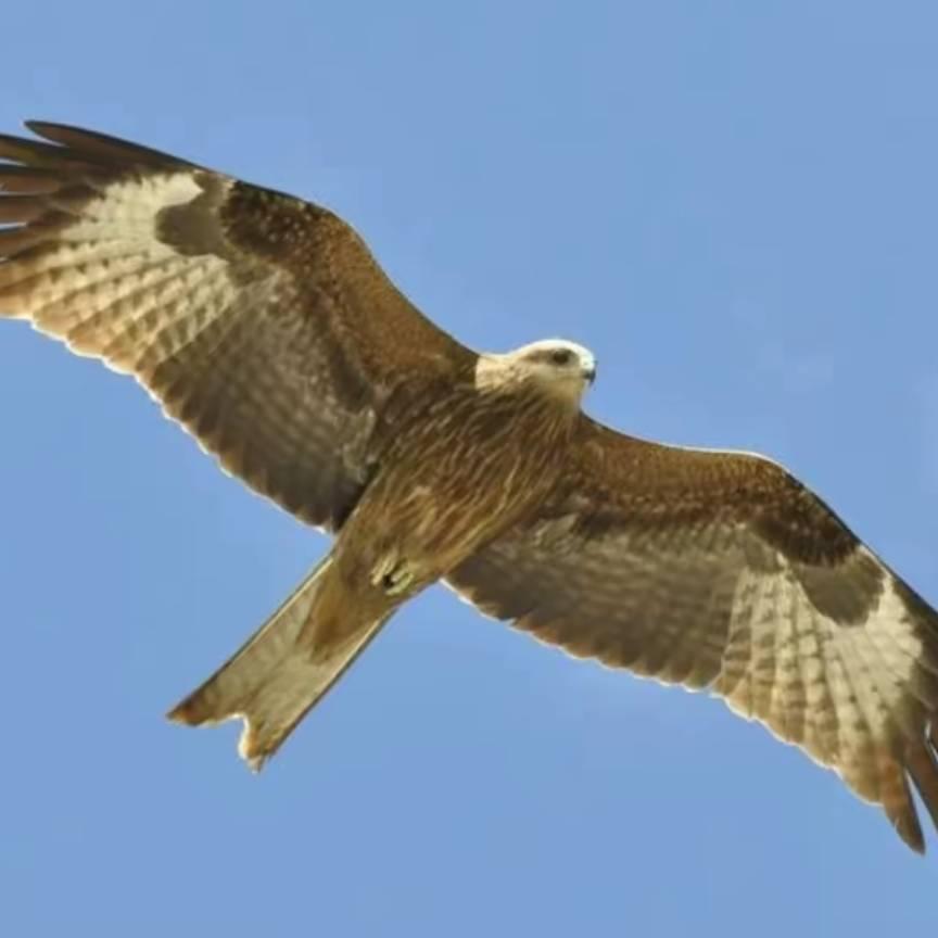 退一步海阔天空，