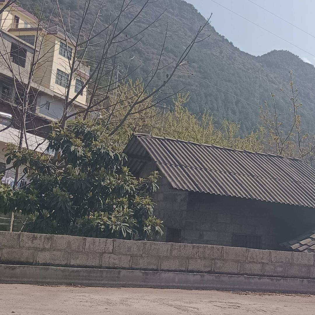 枫叶🍁