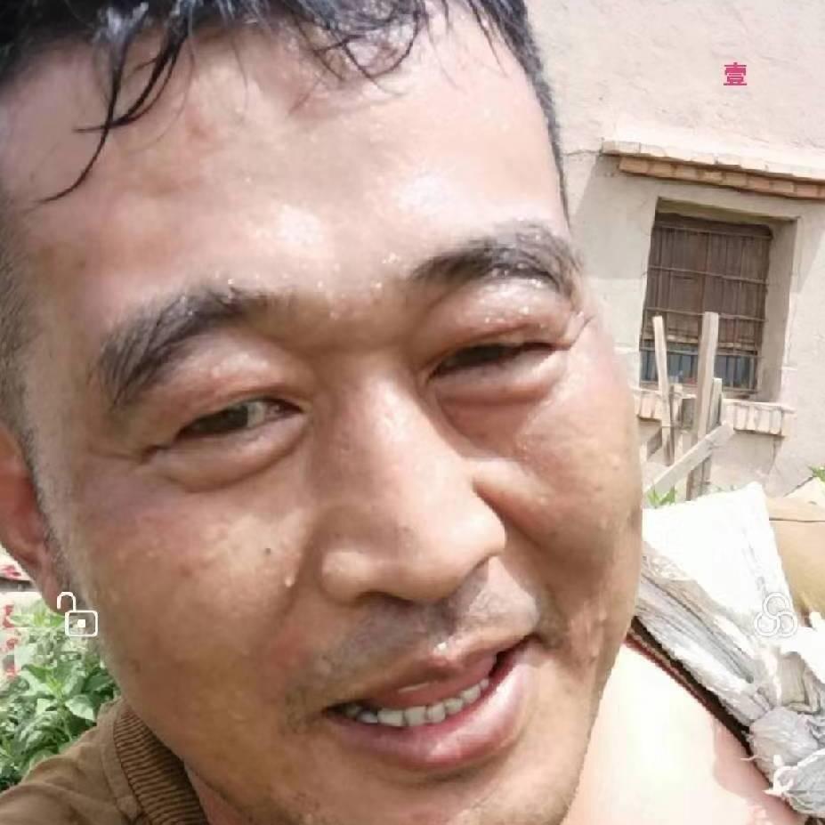 戈壁骆驼